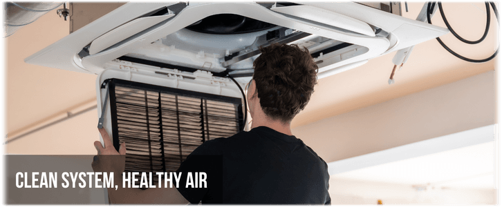 HVAC Mold Removal Centreville